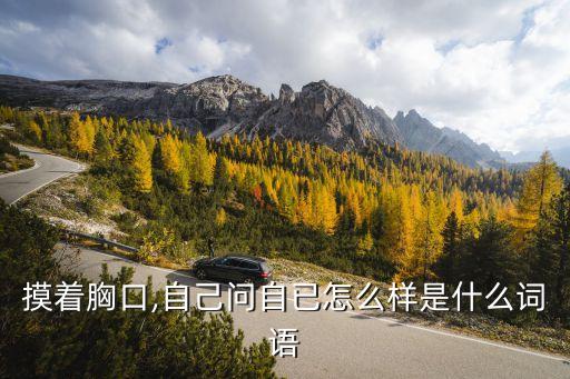 摸著胸口,自己問自已怎么樣是什么詞語