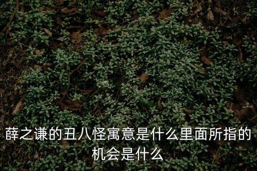 薛之謙的丑八怪寓意是什么里面所指的機會是什么