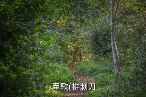  軍歌(拼刺刀