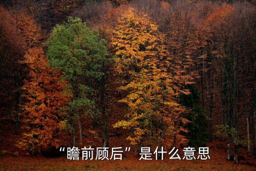 瞻什么顧什么,瞻前顧后:先看前面再看后面謹(jǐn)慎細(xì)密