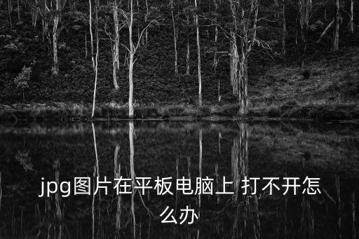  jpg圖片在平板電腦上 打不開怎么辦