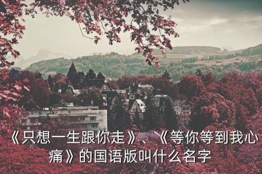 《只想一生跟你走》、《等你等到我心痛》的國語版叫什么名字