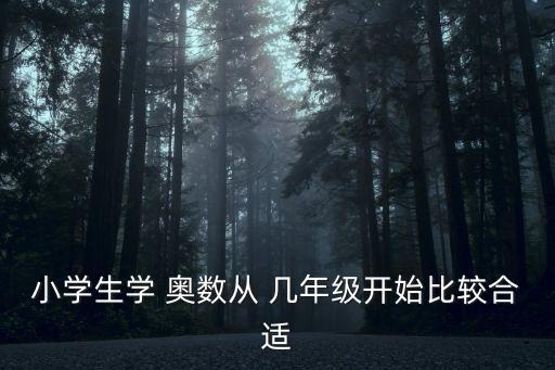 奧數幾年級開始學好,一年級孩子學奧數我覺得三年級最適合