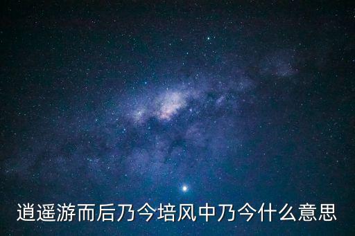 而后乃今培風，急急逍遙游而后乃今培風中乃今什么意思