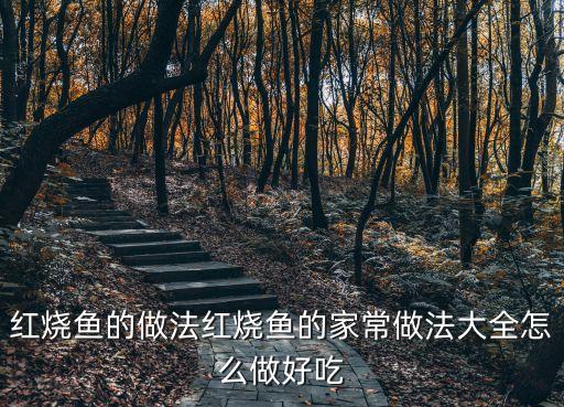 紅燒魚的做法大全，紅燒魚的做法紅燒魚的家常做法大全怎么做好吃