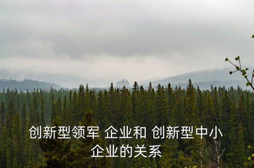 創(chuàng)新型企業(yè),培養(yǎng)未來領(lǐng)先創(chuàng)新力企業(yè)首先要適應(yīng)新發(fā)展戰(zhàn)略