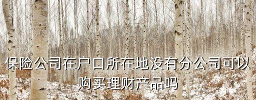 保險(xiǎn)公司在戶口所在地沒有分公司可以購買理財(cái)產(chǎn)品嗎