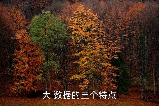 大數(shù)據(jù)的特點(diǎn),da數(shù)據(jù)區(qū)別于傳統(tǒng)數(shù)據(jù)挖礦的最顯著特征
