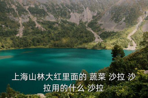 上海山林大紅里面的 蔬菜 沙拉 沙拉用的什么 沙拉