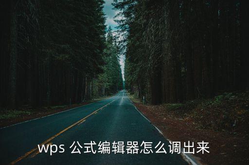 公式編譯器,wps公式editor怎么調(diào)整?