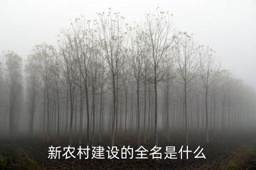 東莞的新農村建設有哪些，東莞有哪些現代建筑