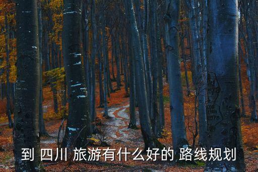 到 四川 旅游有什么好的 路線規劃