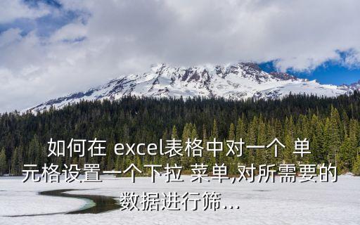 如何在 excel表格中對一個 單元格設置一個下拉 菜單,對所需要的數據進行篩...