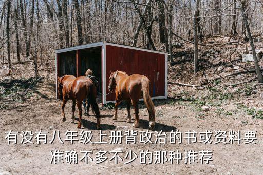 有沒有八年級上冊背政治的書或資料要準確不多不少的那種推薦