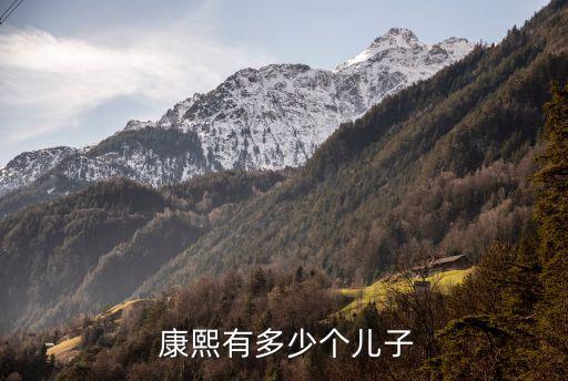 康熙有幾個兒子,八個選區(qū)競選廣播