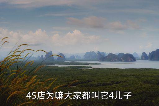 四兒子,只有兒子才能欺騙父親宜州集團(tuán)原董事長(zhǎng)張懷蓮的第四子