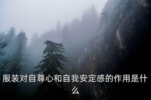 服裝對自尊心和自我安定感的作用是什么