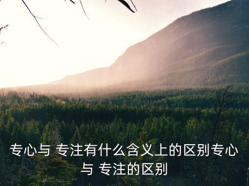 專注的意思,如何提高工作學習效率?