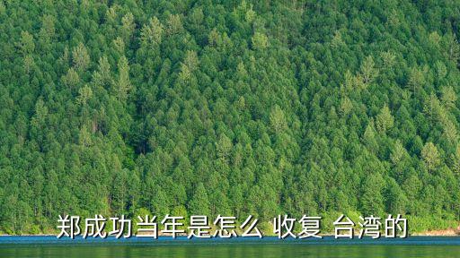 鄭成功收復臺灣的故事,荷蘭軍隊疲憊不堪鄭成功下令攻臺灣