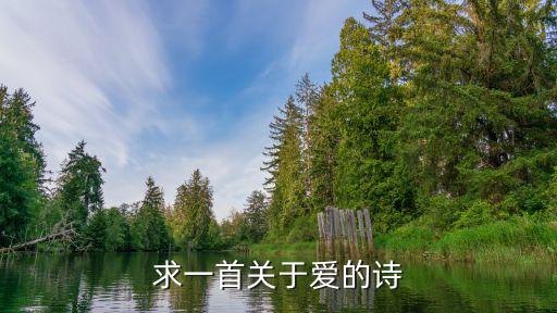 愛的詩，求一首關于愛的詩