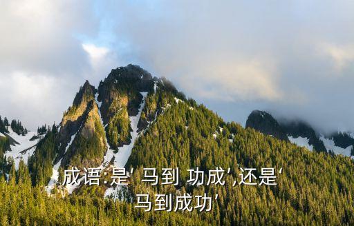 成語:是‘ 馬到 功成’,還是‘ 馬到成功’