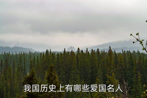 愛(ài)國(guó)人士有哪些,時(shí)間久遠(yuǎn)和媒體受限許多愛(ài)國(guó)英雄無(wú)法列表