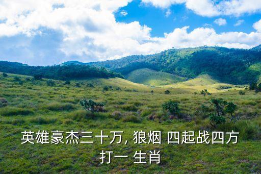 狼煙四起是什么生肖,火舞昇平:什么是大火生肖?