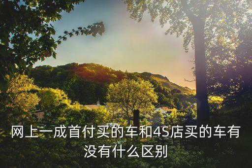 S商店的她，我在4s店辦理的貸款買車他通知我貨款批了明天可以提車了我交了