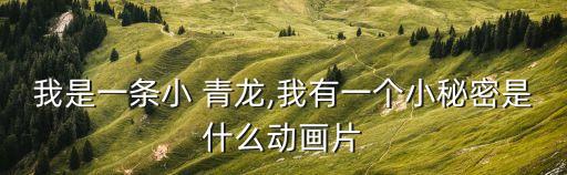 我是一只小青龍,《龍珠》講述了少年收集龍珠的故事
