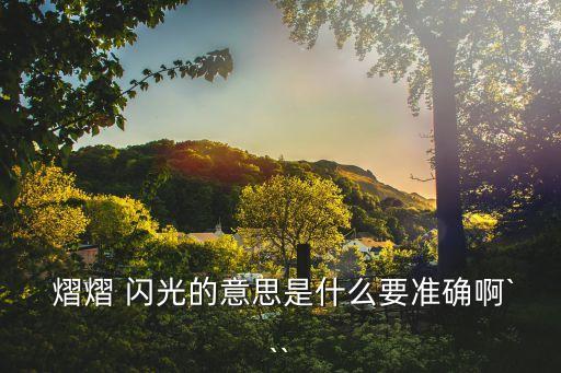 熠熠閃光,第二集:星光璀璨耀眼奪目