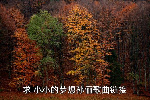 求 小小的夢想孫儷歌曲鏈接