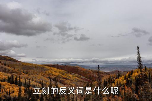 立刻的反義詞是什么呢