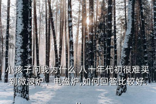小孩子問我為什么 八十年代初很難買到微波爐、電磁爐,如何回答比較好...
