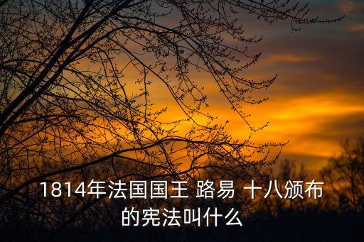 1814年法國國王 路易 十八頒布的憲法叫什么