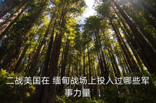 緬甸戰役,第二次緬甸-1/:中國遠征軍與美軍在緬甸作戰