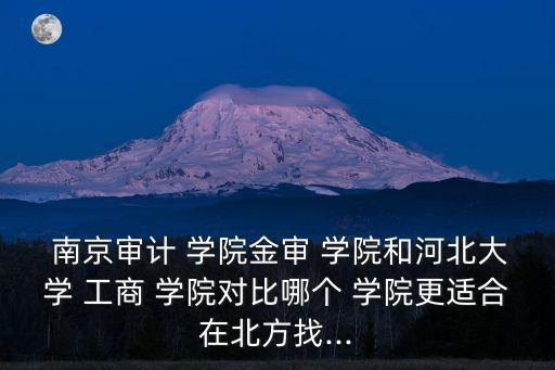  南京審計 學院金審 學院和河北大學 工商 學院對比哪個 學院更適合在北方找...