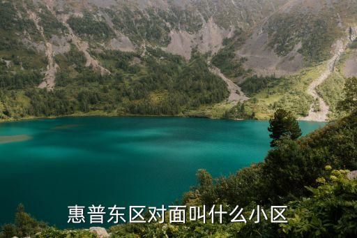 惠普東區對面叫什么小區