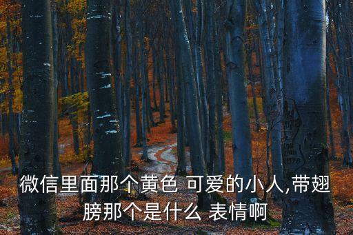 微信里面那個黃色 可愛的小人,帶翅膀那個是什么 表情啊