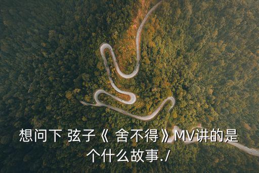 舍不得弦子,陳詩樺:即使沒有我也要讓他離開不內(nèi)疚