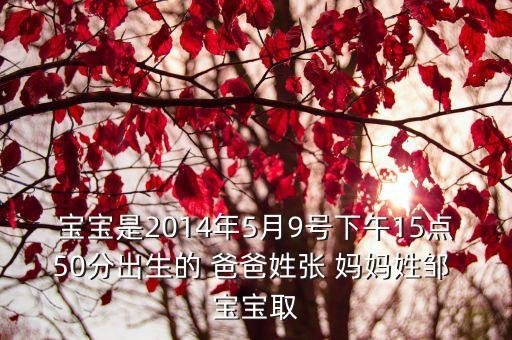 東莞有姓鄒的嗎，請問各位養鳥高手什么時候有畫眉鄒子賣啊