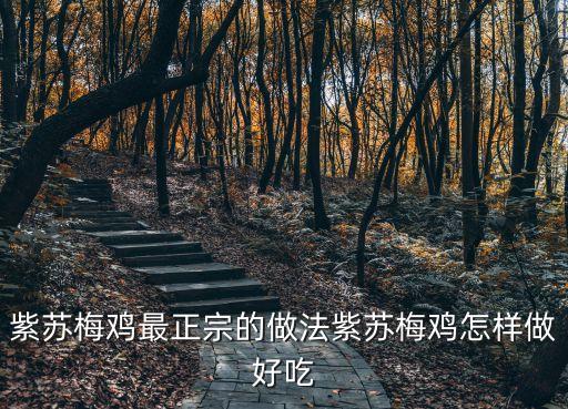 紫蘇梅雞最正宗的做法紫蘇梅雞怎樣做好吃