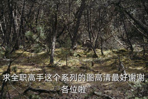 求全職高手這個系列的圖高清最好謝謝各位啦