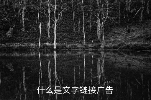 文字廣告，什么是文字鏈接廣告