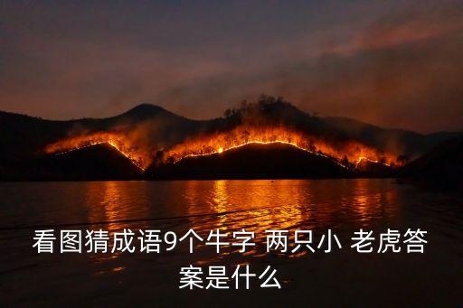 看圖猜成語9個(gè)牛字 兩只小 老虎答案是什么