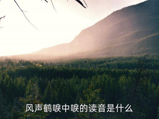 風(fēng)聲鶴唳中唳的讀音是什么