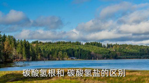 碳酸氫鹽,碳酸鹽比氫酸氫鹽更容易水解