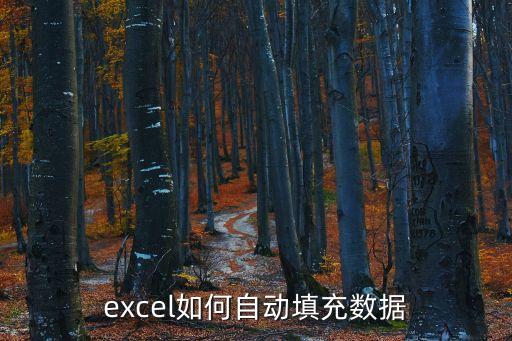 excel如何自動填充數(shù)據(jù)