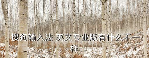  搜狗輸入法 英文專業版有什么不一樣