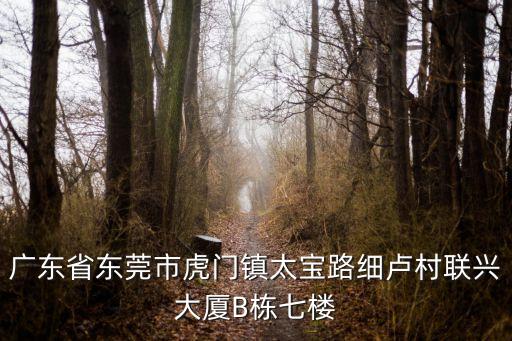 廣東省東莞市虎門鎮太寶路細盧村聯興大廈B棟七樓