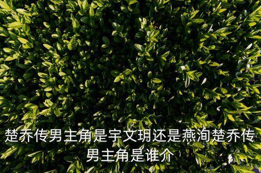 楚喬傳男主，楚喬傳主人物是誰